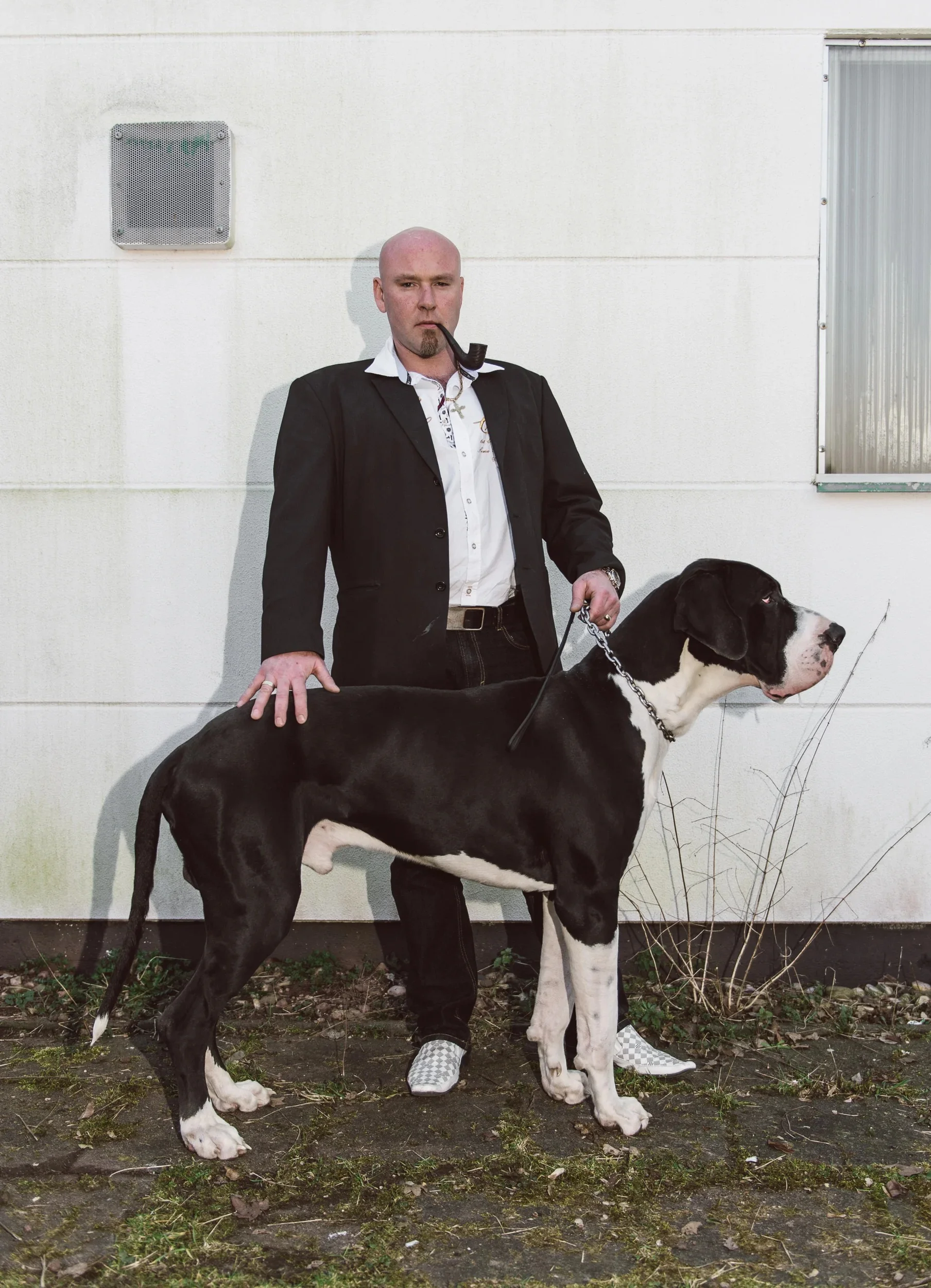 Man in a suit posing with his large Great Dane against a white wall.